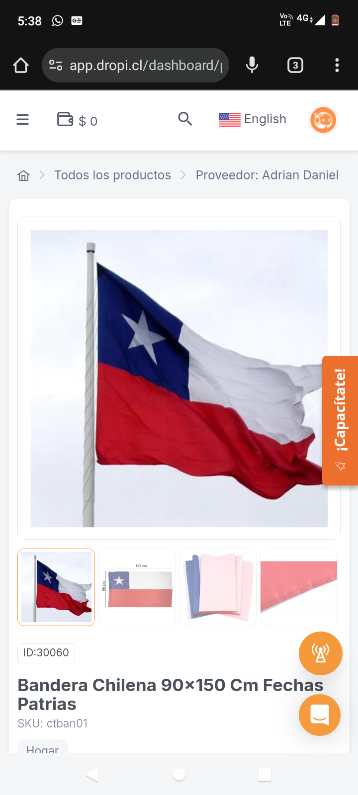 Bandera Chilena 90x150 Cm Fechas Patrias
