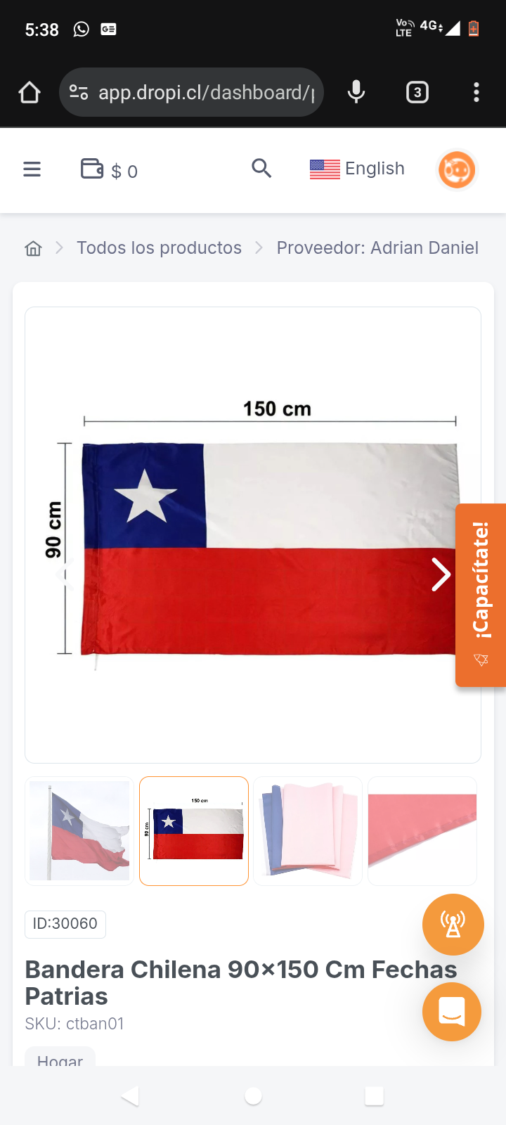Bandera Chilena 90x150 Cm Fechas Patrias